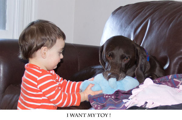 I want my toy...