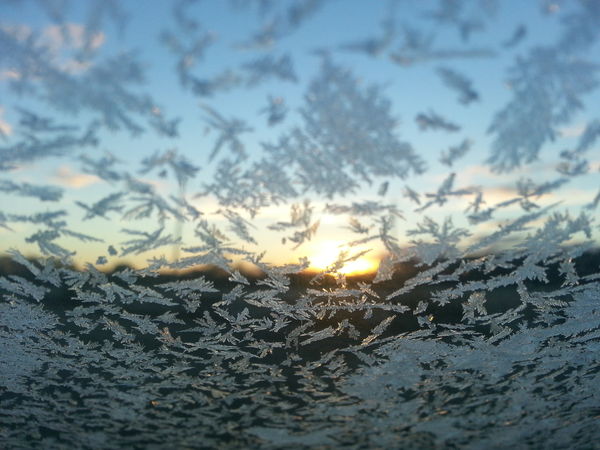 Sun rising through the icy windshield this morning...