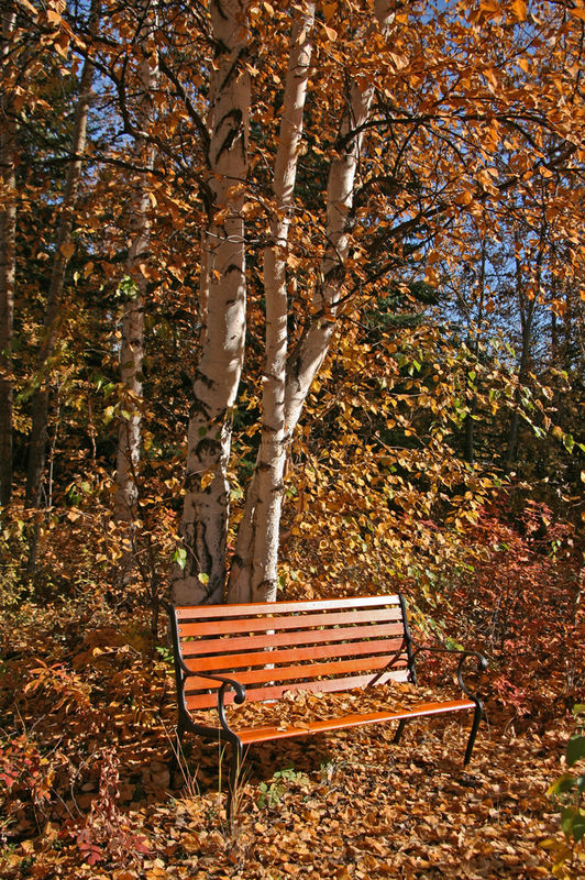 A Quiet Spot in the Fall...