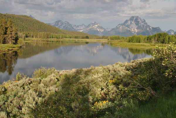 Grand Tetons with Mount Moran in background...