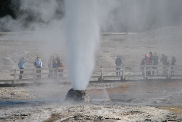 Beehive geyser - man, what power.  Makes "Old Fait...