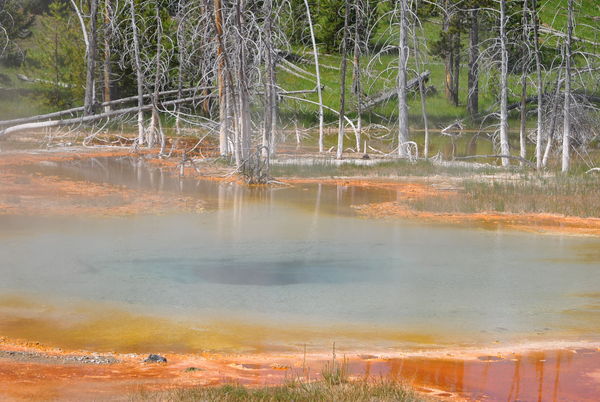 Sulphur adds to the natural beauty...