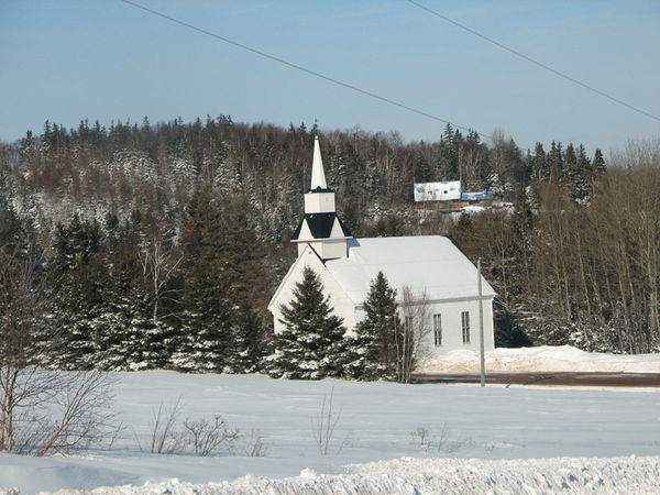 Spruce trees add more diamonds to this chuch subje...