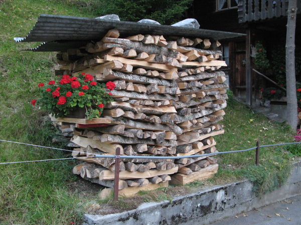 Wood is stacked everywhere. Winter is on its way....