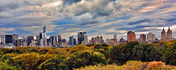 Fall Colors Central Park NYC Skyline...