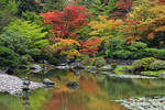 Autumn at the Japanese Garden in Seattle...