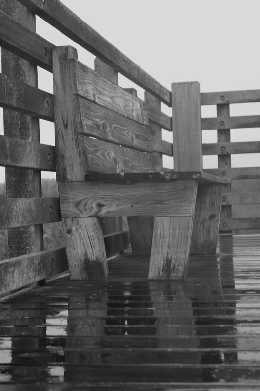 Bench on look out deck reflected-foggy day Old Lym...