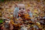 Playing Hide and Seek in the leaves....