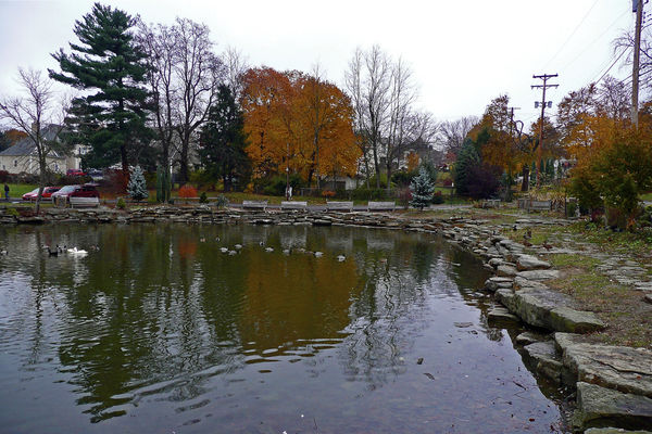 Rennerdale Duck Pond...