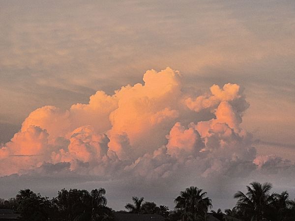 6. Cloud build-up north of Fort Myers, FL...