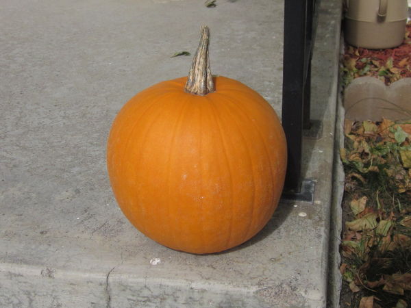 Lonely Pumpkin on the step...