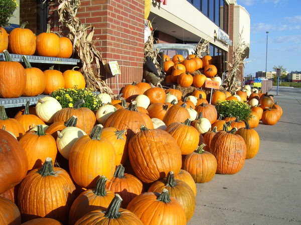 Pumpkins at the Grocery Store...