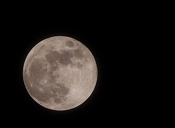 ISO100, 1/125, f18 500mm (Cropped)...
