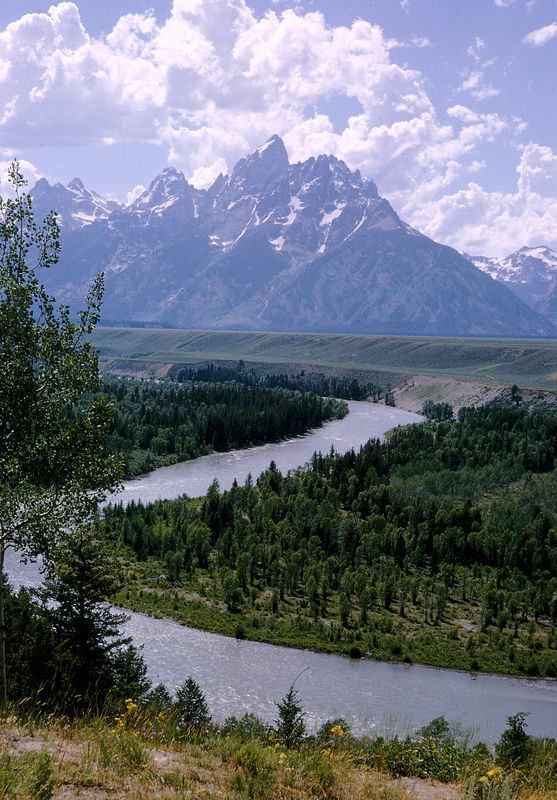 Snake River and the Tetons...