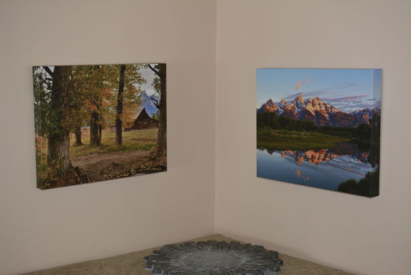 Hung a couple of my favorite photos...