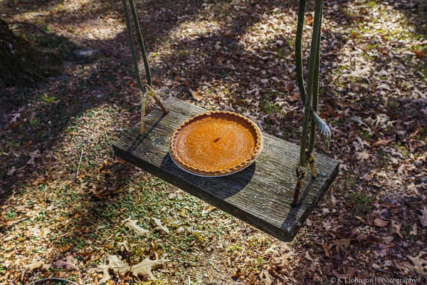 Pumpkin Pie,  Nov. 27, 2013...