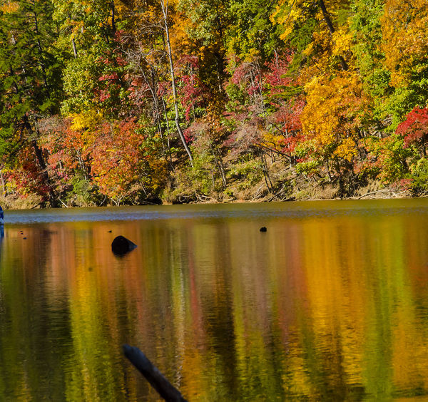 Fall Colors on Lake Adger...