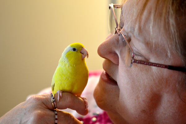Wife with Parrotlet...