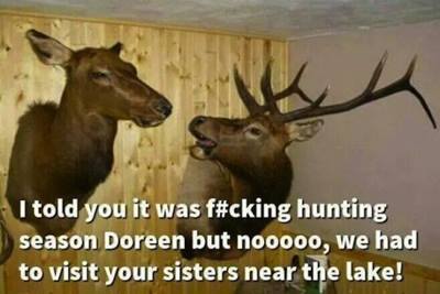 Look guys elk have the same problem...