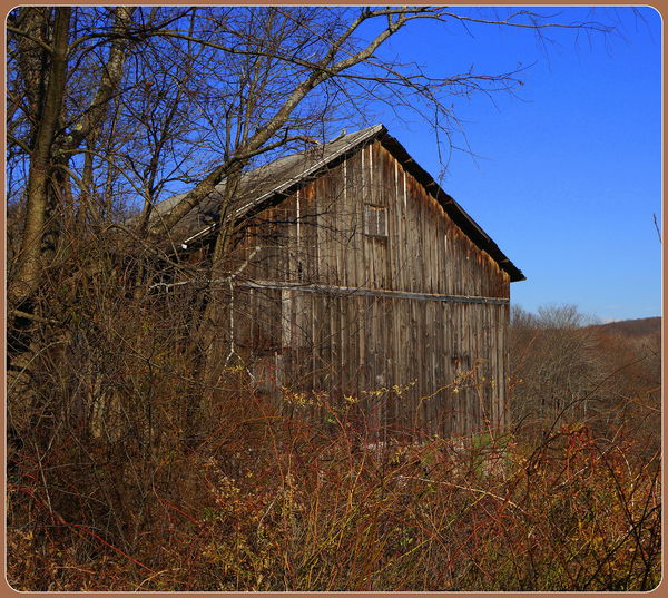i enjoy finding old barns to shoot. this one just ...