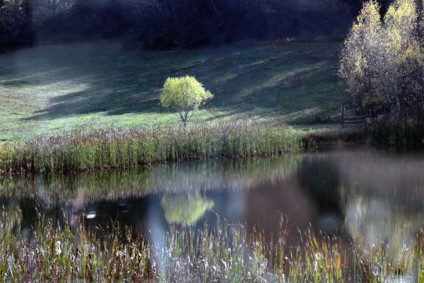 peaceful little pond...