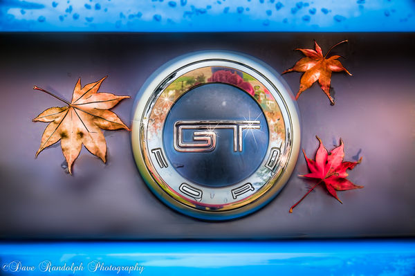 GT Autumn...