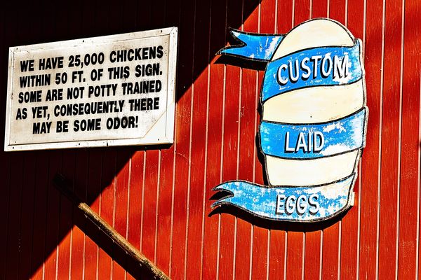 Otis Chicken Farm #1...