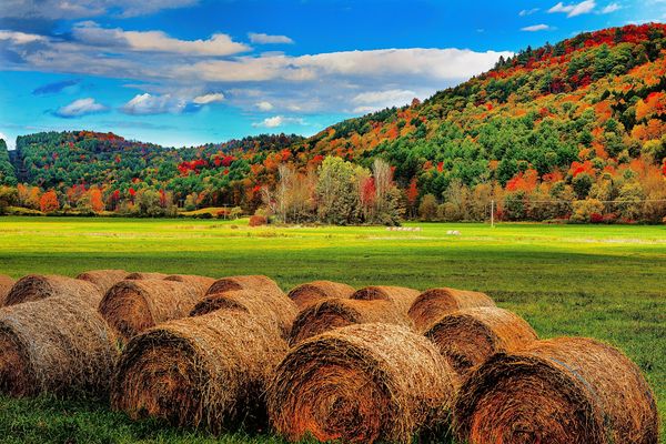 Hay bales and Mountainside,   Vermont...