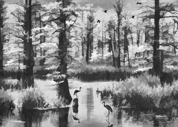 Great Blue Herons of Cache River Wetlands: I printed this on stretched ...