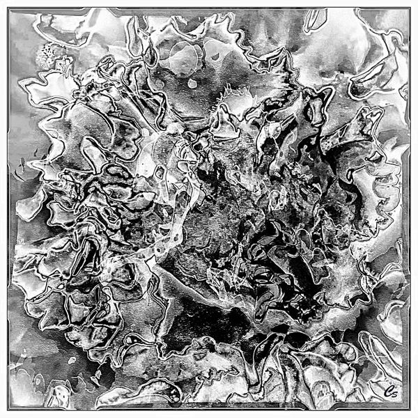 Raging flower in black and white...