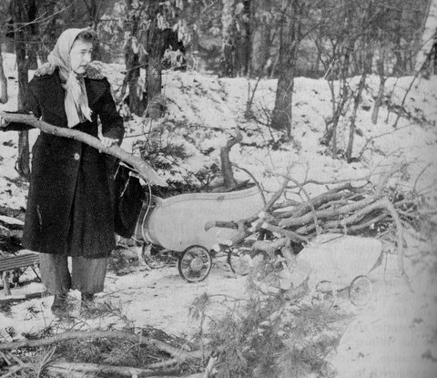 Some women collected fallen branches as fuel in bi...