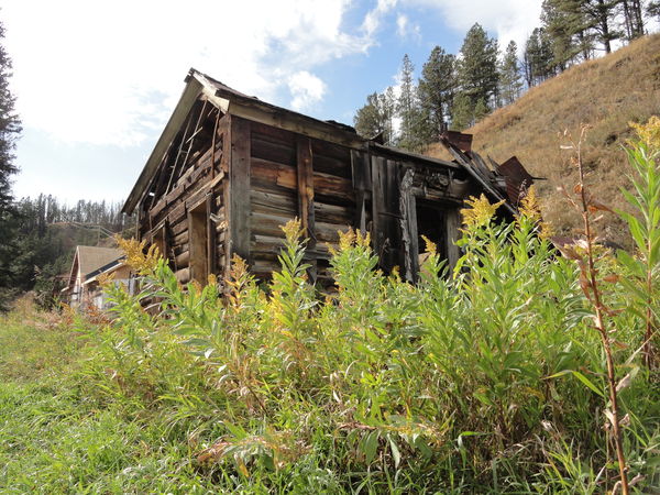 This was an old miners cabin that over the past te...