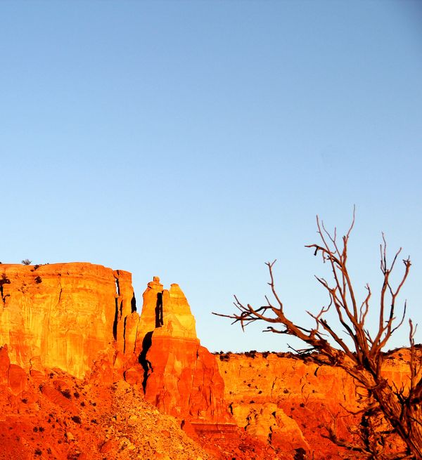 Red mesa and dead tree...