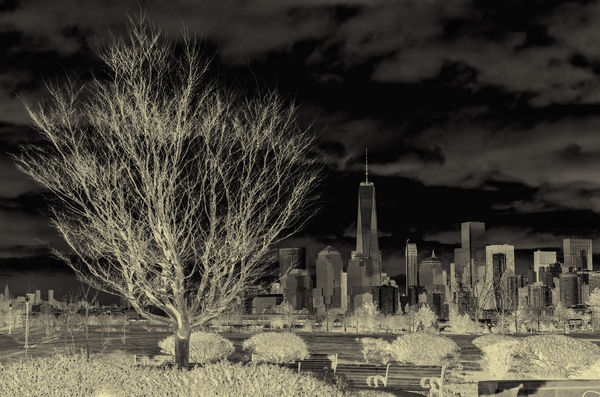 No. 6 Liberty State Park inverted...