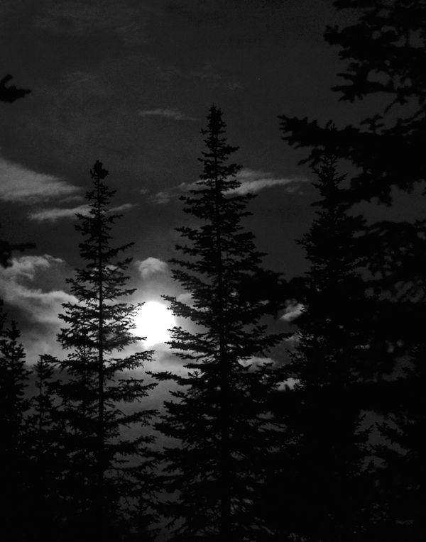 moon setting. 04:30am...