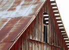 Rusty Tin Roof Barn...