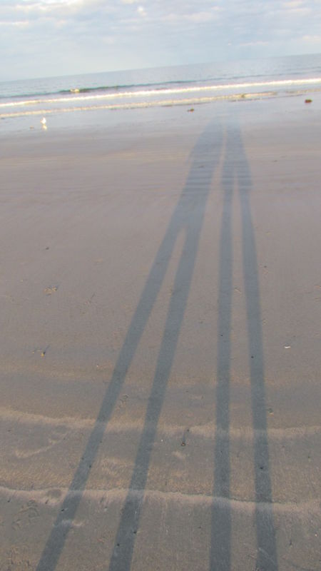 Me & my shadow . . ....
