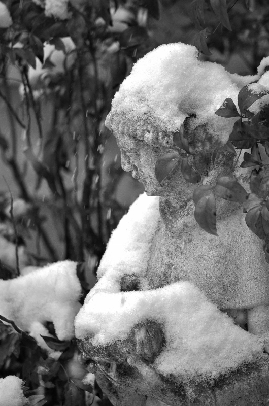 St Francis statue in the snow-b&w...