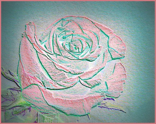 Rose worked in colored chalk...