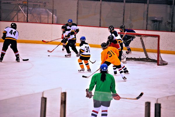 My son's hockey game......