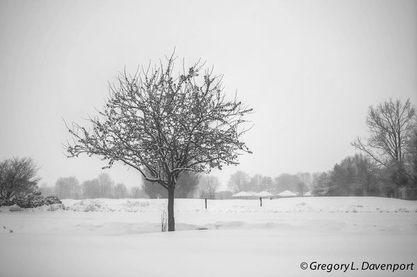 Indiana Snow 2 - Feb 2014...