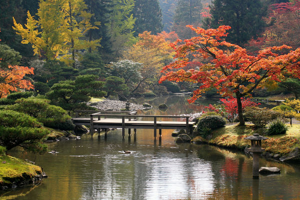 Japanese Garden, Seattle...