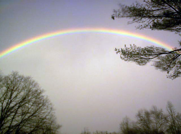 Rainbow 2007...