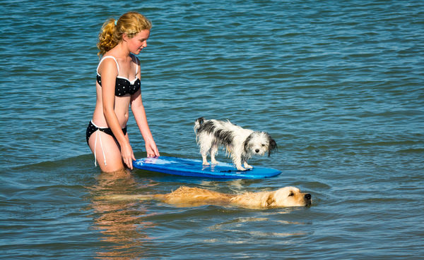 This young lady was teaching her dog to surf...sha...