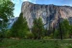 The east face of El Capitan in Yosemite, with the ...