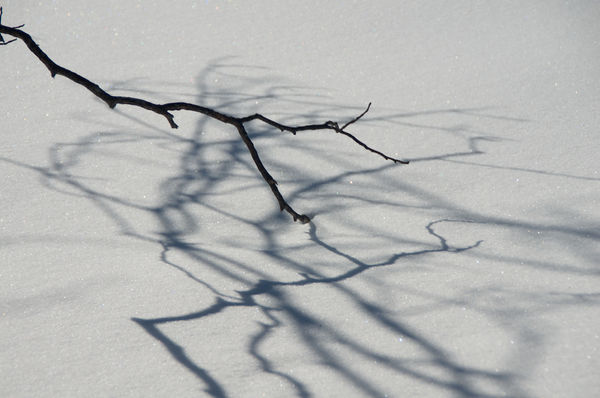 Winter shadows (snow is about 2 ft deep still)...