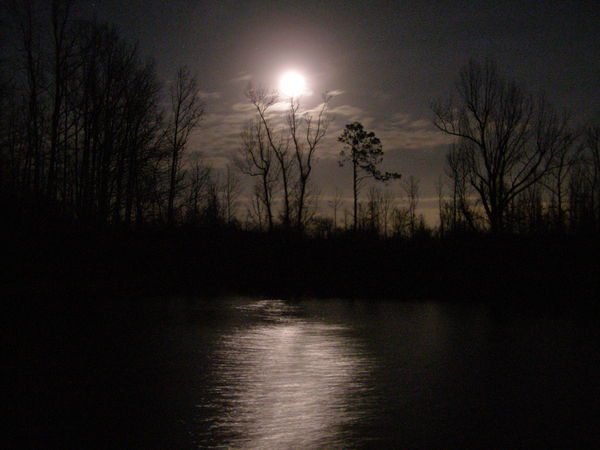 Moon Over The Lake...