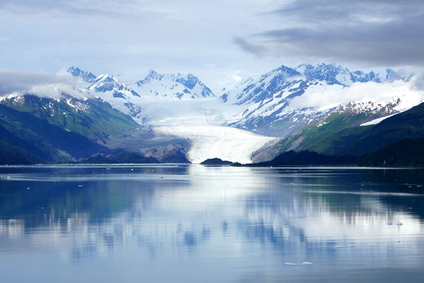 Another from Glacier Bay...