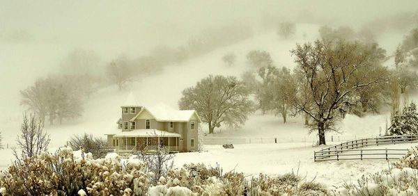House in the snow...