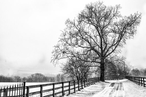 Winter scene in Maryland...